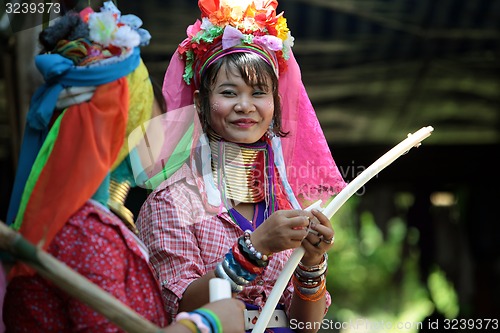 Image of ASIA THAILAND CHIANG MAI WOMEN LONGNECK