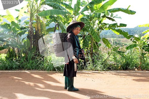 Image of ASIA THAILAND CHIANG MAI CHIANG DAO MINORITY