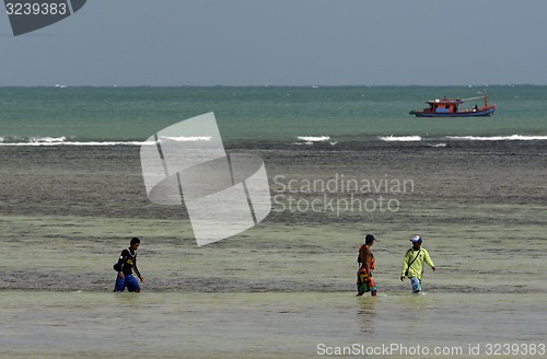 Image of ASIA THAILAND PHUKET RAWAI 