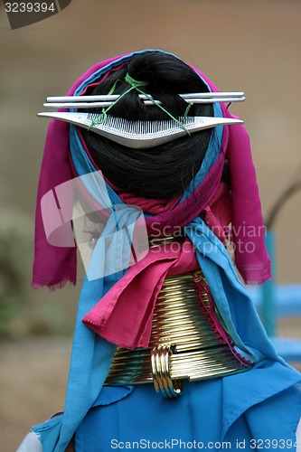 Image of ASIA THAILAND CHIANG MAI WOMEN LONGNECK