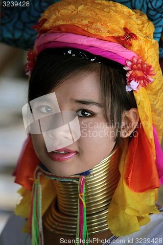 Image of ASIA THAILAND CHIANG MAI WOMEN LONGNECK