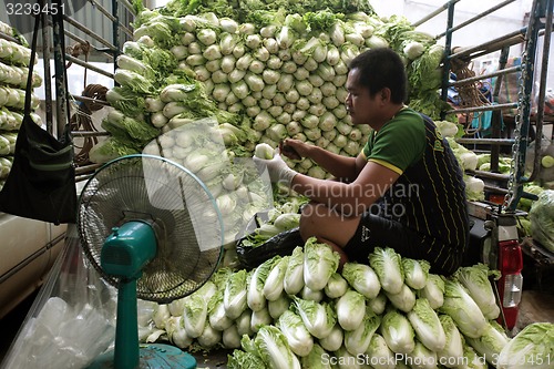 Image of ASIA THAILAND CHIANG MAI MARKET