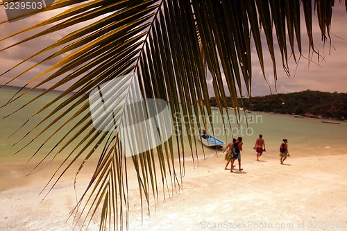 Image of ASIA THAILAND KO TAO 