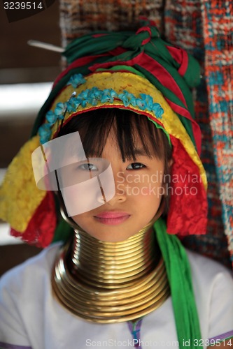 Image of ASIA THAILAND CHIANG MAI WOMEN LONGNECK