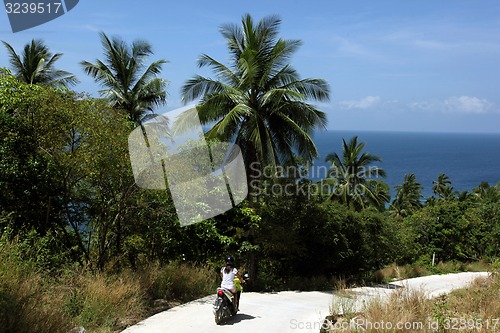 Image of ASIA THAILAND KO TAO