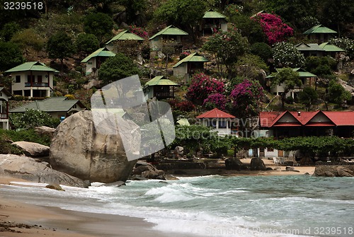 Image of ASIA THAILAND KO TAO 
