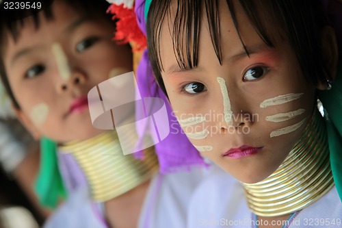 Image of ASIA THAILAND CHIANG MAI WOMEN LONGNECK