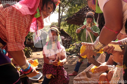 Image of ASIA THAILAND CHIANG MAI WOMEN LONGNECK