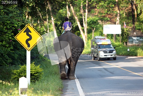 Image of ASIA THAILAND CHIANG MAI CHIANG ELEPHANT