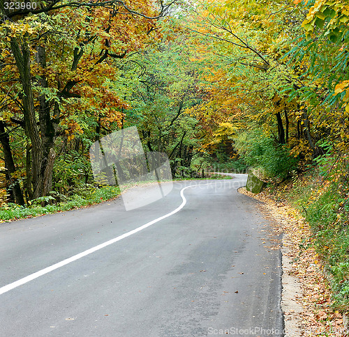 Image of Curved road