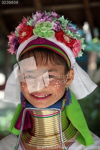 Image of ASIA THAILAND CHIANG MAI WOMEN LONGNECK