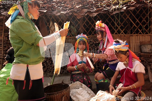 Image of ASIA THAILAND CHIANG MAI WOMEN LONGNECK