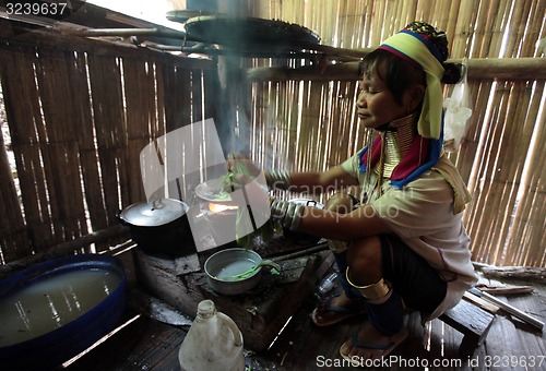 Image of ASIA THAILAND CHIANG MAI WOMEN LONGNECK