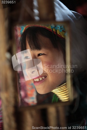 Image of ASIA THAILAND CHIANG MAI WOMEN LONGNECK