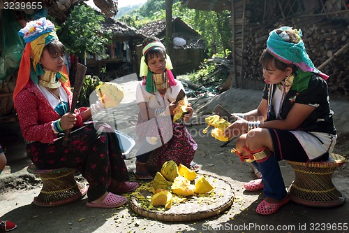 Image of ASIA THAILAND CHIANG MAI WOMEN LONGNECK