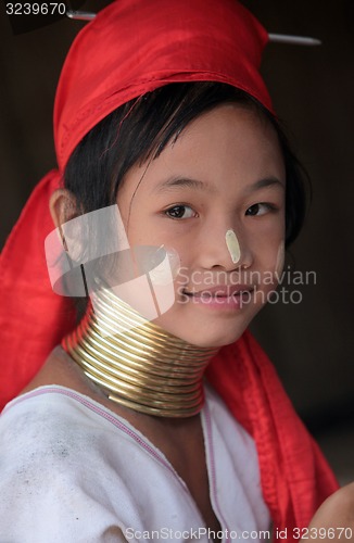 Image of ASIA THAILAND CHIANG MAI WOMEN LONGNECK