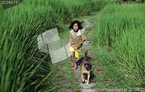 Image of ASIA THAILAND CHIANG MAI CHIANG DAO MINORITY