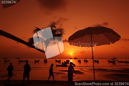 Image of ASIA THAILAND KO TAO