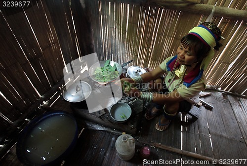 Image of ASIA THAILAND CHIANG MAI WOMEN LONGNECK