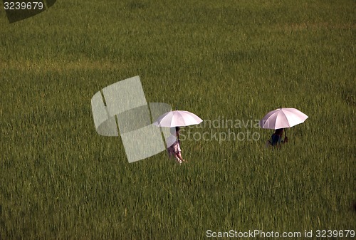 Image of ASIA THAILAND CHIANG MAI CHIANG DAO MINORITY