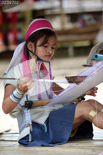 Image of ASIA THAILAND CHIANG MAI WOMEN LONGNECK