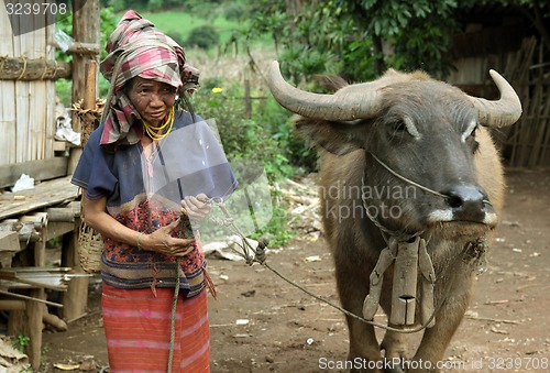 Image of ASIA THAILAND CHIANG MAI CHIANG DAO MINORITY