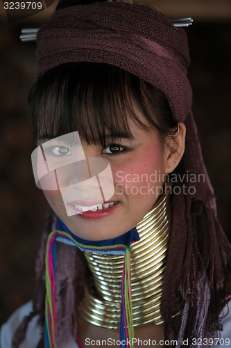 Image of ASIA THAILAND CHIANG MAI WOMEN LONGNECK