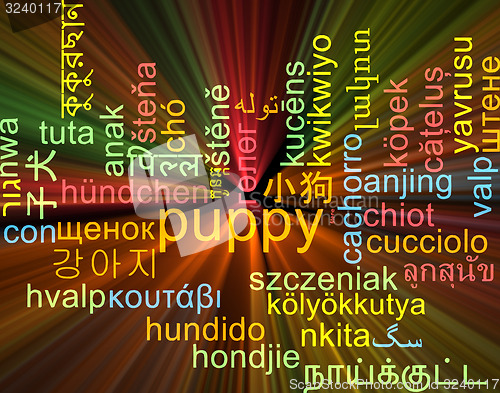 Image of Puppy multilanguage wordcloud background concept glowing