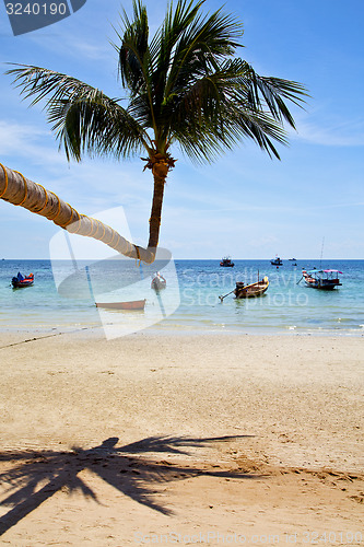 Image of isle  asia in  kho phangan thailand bay   beach    rocks pirogue