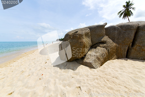 Image of myanmar asia  kho  isle froth foam   in   south china sea 