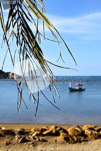 Image of   phangan thailand    beach    rocks pirogue palm  