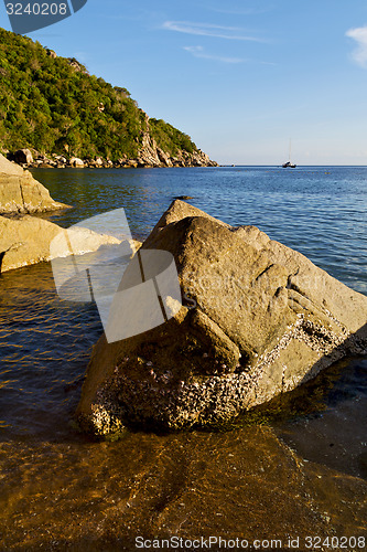 Image of stone    thailand kho tao bay abstract of  
