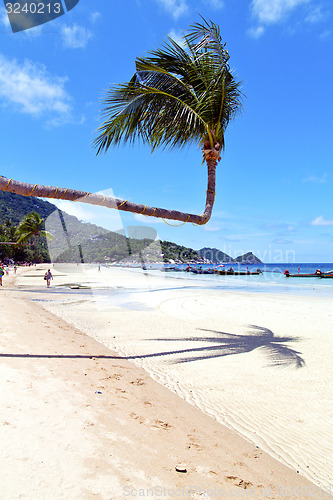 Image of  in  kho tao thailand bay asia isle      rocks pirogue  