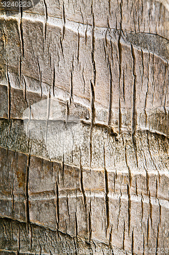 Image of  bark in kho tao   bay     thailand  and  