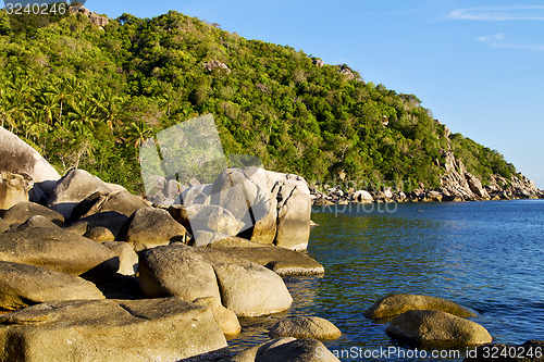 Image of ston thailand kho tao bay abstract of a  