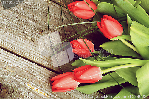 Image of Spring Tulips