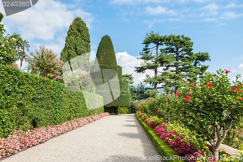 Image of park on the island of Isola Bella. Italy