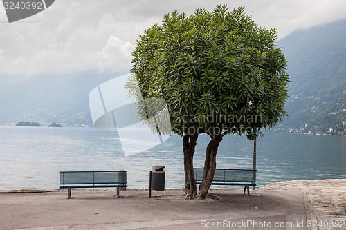 Image of Two lonely benches overlooking the lake Maggiore