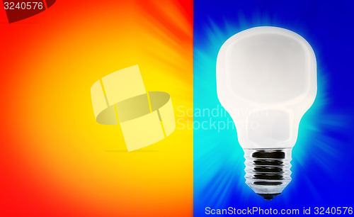 Image of White bulb