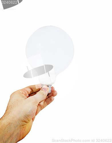 Image of White bulb