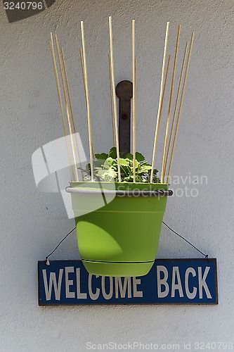 Image of hanging plant with welcome back sign