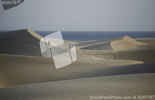 Image of EUROPE SPIAN GRAN CANARY