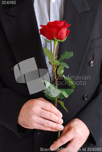 Image of Man red rose