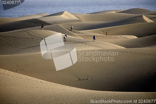 Image of EUROPE SPIAN GRAN CANARY