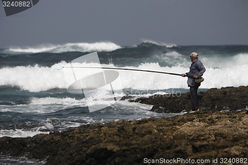 Image of EUROPE CANARY ISLANDS FUERTEVENTURA