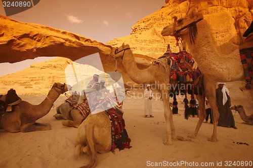 Image of ASIA MIDDLE EAST JORDAN WADI RUM