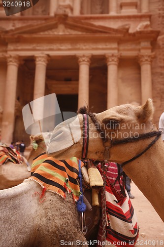 Image of ASIA MIDDLE EAST JORDAN PETRA