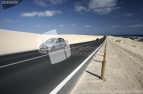 Image of EUROPE CANARY ISLANDS FUERTEVENTURA