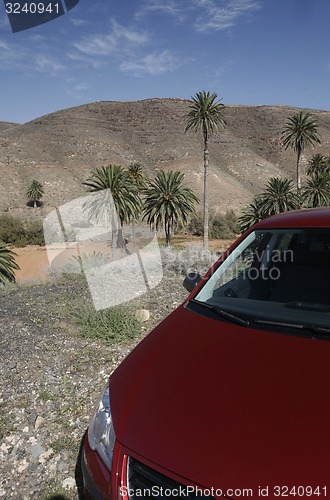 Image of EUROPE CANARY ISLANDS FUERTEVENTURA