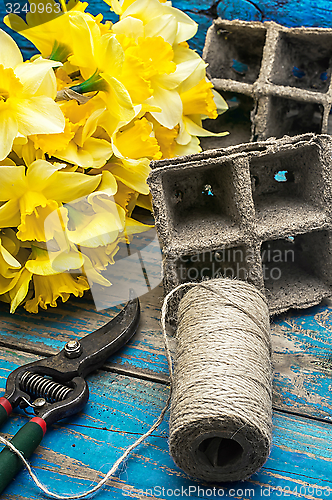 Image of spring daffodils